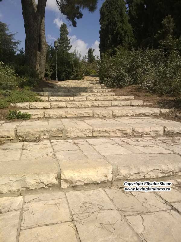 Steps - Aliyah